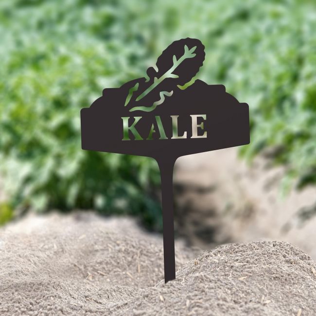 "Kale" Vegetable Label in Situ in the Garden "Kale" Vegetable Label in Situ in the Garden