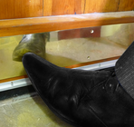 Protective Brass "Kick" Plates Protective Brass "Kick" Plates