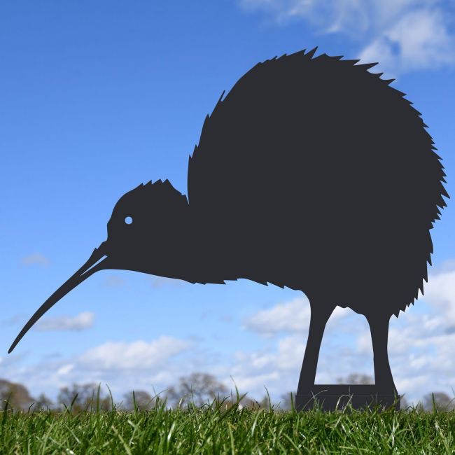 Black Kiwi Silhouette  Black Kiwi Silhouette