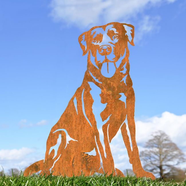 Labrador Silhouette on Display Outside Labrador Silhouette on Display Outside