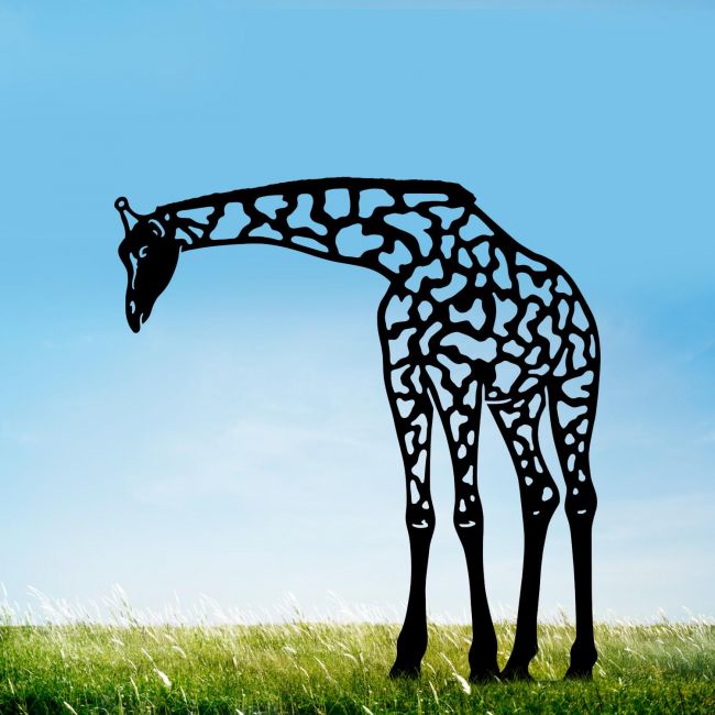 Black Giraffe Silhouette Black Giraffe Silhouette