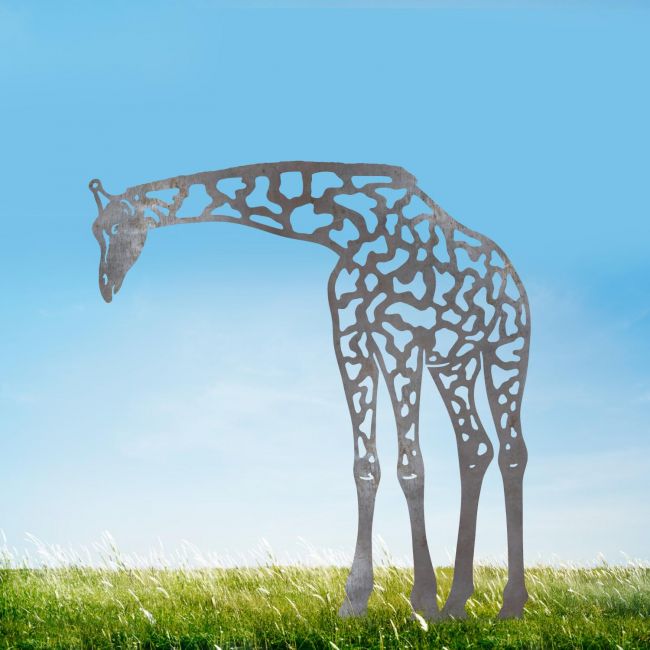 Black Giraffe Silhouette Black Giraffe Silhouette