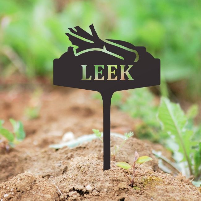 "Leek" Vegetable Label in Situ in the Garden "Leek" Vegetable Label in Situ in the Garden