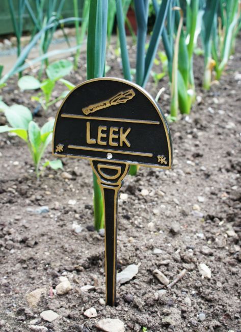 Vegetable Label - Leek Vegetable Label - Leek