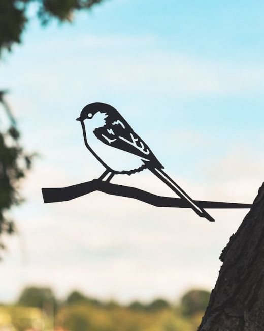 Long-Tailed Tit Spike in Situ on a Fence