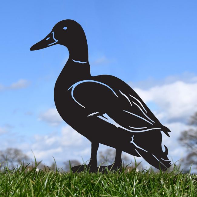 Black Mallard Drake Silhouette in Situ Black Mallard Drake Silhouette in Situ