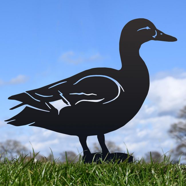Black Mallard Duck Silhouette in Situ Black Mallard Duck Silhouette in Situ