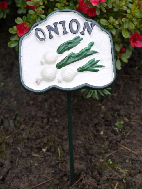 Onion Vegetable Garden Sign Onion Vegetable Garden Sign