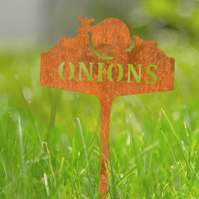 "Onions" Vegetable Label in Situ in the Garden "Onions" Vegetable Label in Situ in the Garden