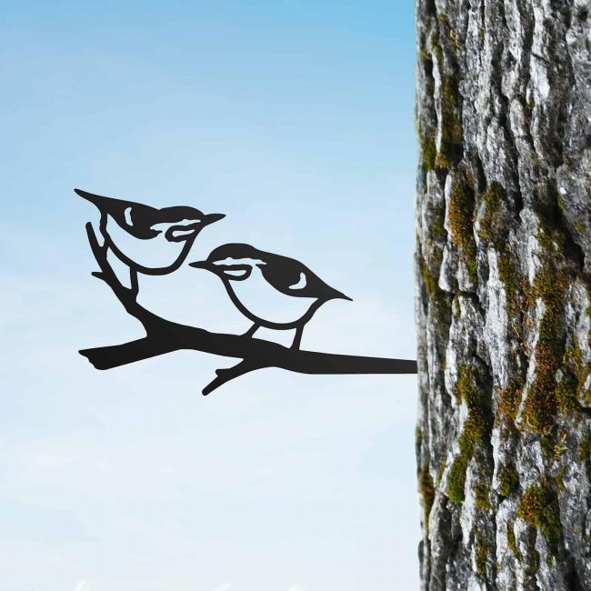 Sparrow Tree Spike on Situ on a Tree Sparrow Tree Spike on Situ on a Tree