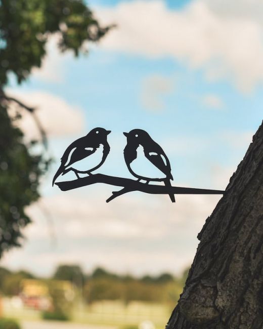Sparrow Tree Spike on Situ on a Tree Sparrow Tree Spike on Situ on a Tree