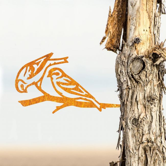 Sparrow Tree Spike on Situ on a Tree Sparrow Tree Spike on Situ on a Tree