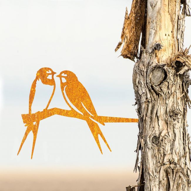 Sparrow Tree Spike on Situ on a Tree Sparrow Tree Spike on Situ on a Tree
