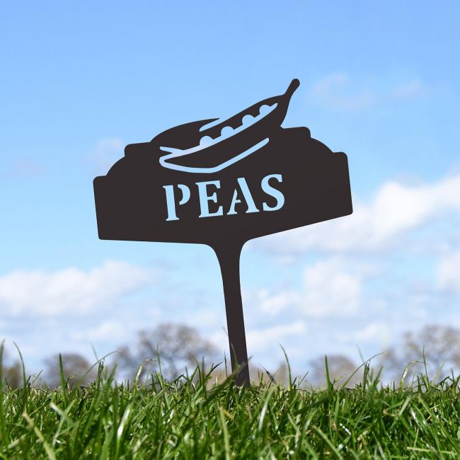 "Peas" Vegetable Label in Situ "Peas" Vegetable Label in Situ