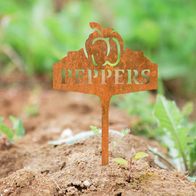 "Peppers" Vegetable Label in Situ in the Garden "Peppers" Vegetable Label in Situ in the Garden