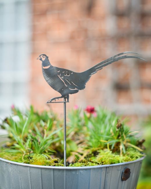 Pheasant Artistic Plant Pot Spike - Set of Two Pheasant Artistic Plant Pot Spike - Set of Two