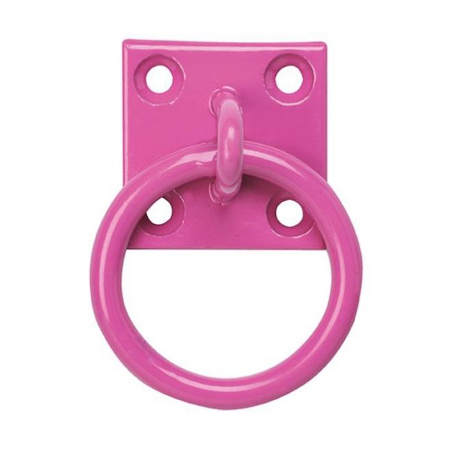 Pink Wall Mounted Ring For Chain Pink Wall Mounted Ring For Chain