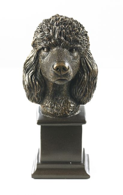 Poodle Dog Bust
