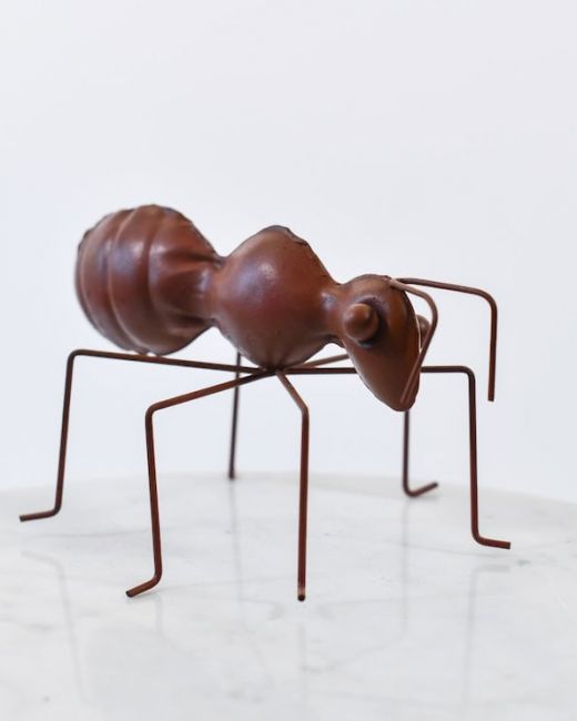 Aaron the Recycled Red Ant