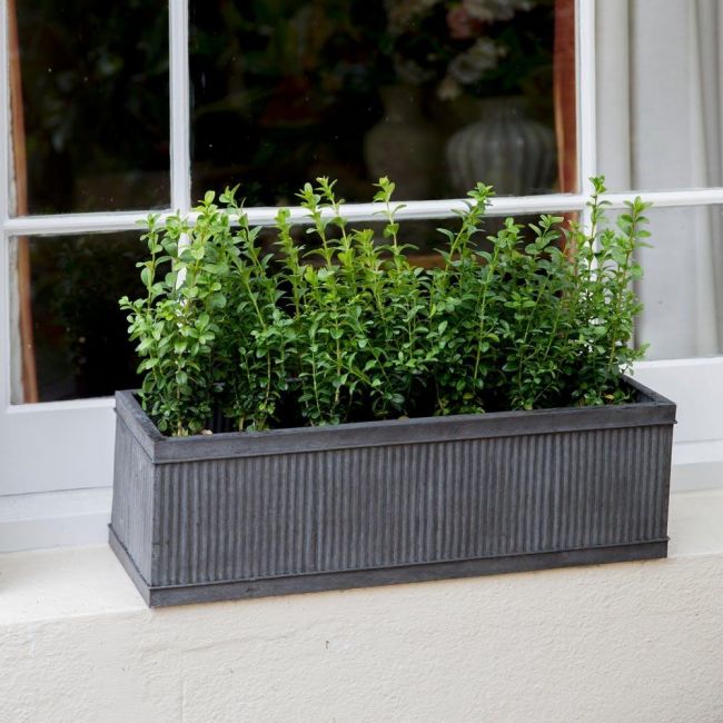 Ribbed Steel Window Trough Planter in Situ by a Window Ribbed Steel Window Trough Planter in Situ by a Window