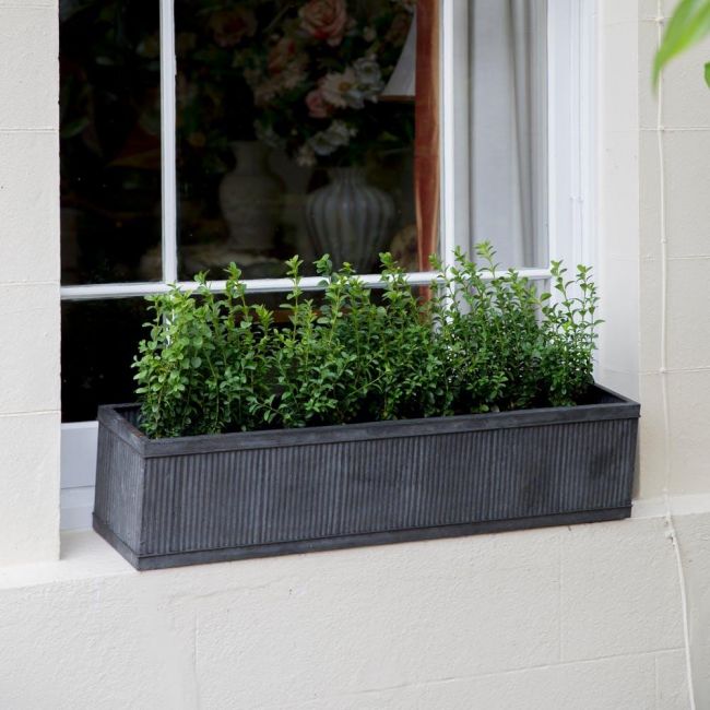 Ribbed Steel Window Trough Planter in Situ by a Window Ribbed Steel Window Trough Planter in Situ by a Window