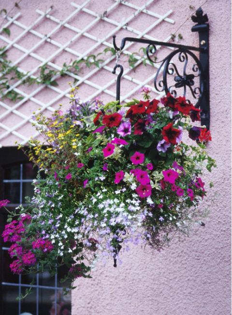 "Rose Wheel" Hanging Basket Bracket "Rose Wheel" Hanging Basket Bracket