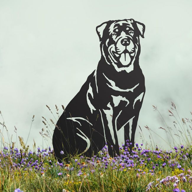 Rottweiler Silhouette Outdoors Rottweiler Silhouette Outdoors