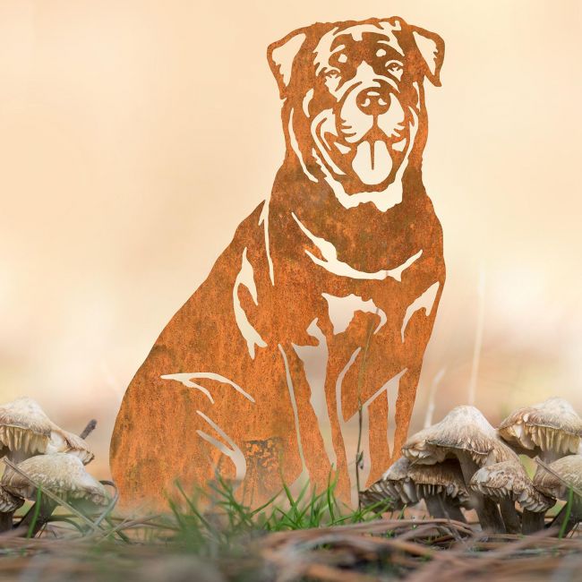 Rottweiler Silhouette Outdoors Rottweiler Silhouette Outdoors