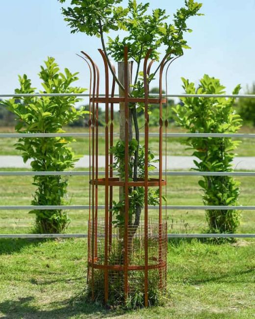 Wrought Iron "Sandridge" Rustic Tree Guard - Large Wrought Iron "Sandridge" Rustic Tree Guard - Large