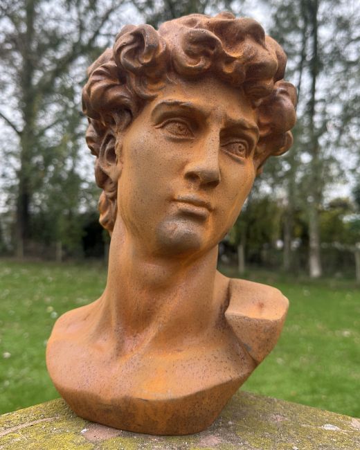 Rustic Cast Iron "Bust of David" Garden Sculpture Rustic Cast Iron "Bust of David" Garden Sculpture