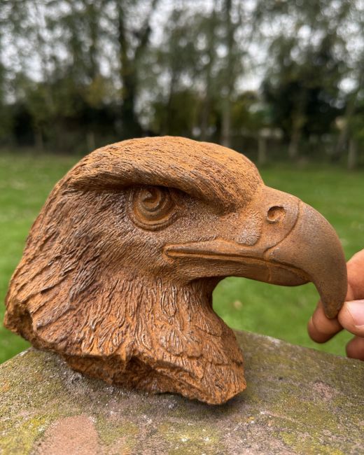 Rustic Cast Iron Eagle Bust Sculpture Rustic Cast Iron Eagle Bust Sculpture