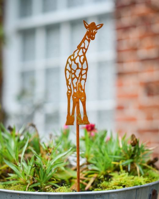 Rustic Giraffe Artistic Plant Pot Spike - Set of Two Rustic Giraffe Artistic Plant Pot Spike - Set of Two