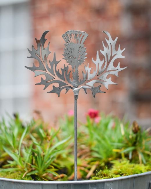 Scottish Thistle Artistic Plant Pot Spike - Set of Two