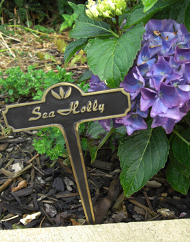 Seaholly Brass Garden Plant Marker Seaholly Brass Garden Plant Marker