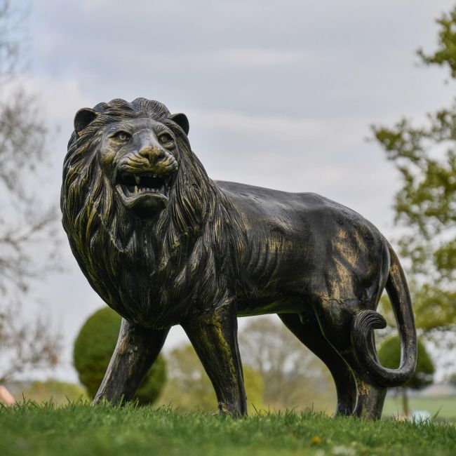 Brushed Gold Lion Sculpture (Looking Left)