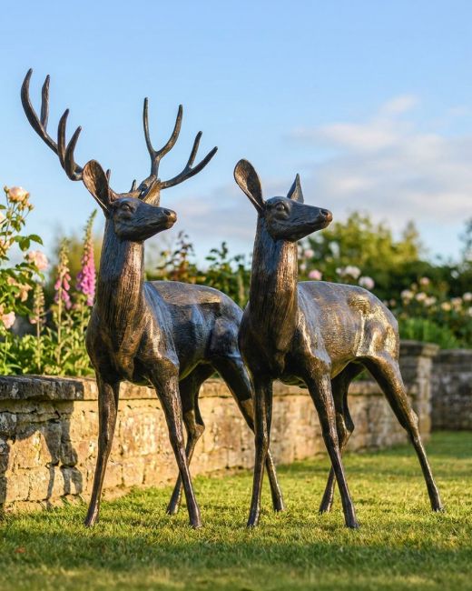 Standing Stag and Doe - Looking Left Digital Illustration 