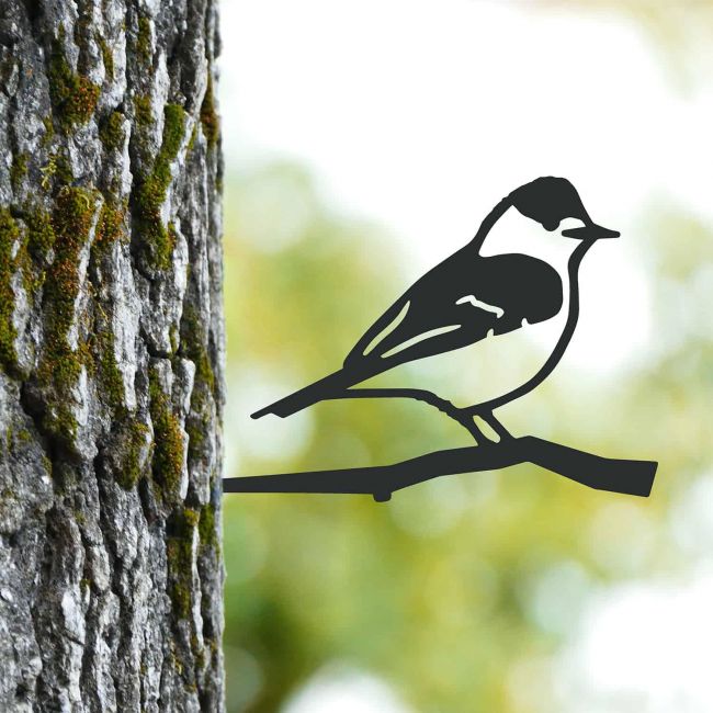 Sparrow Tree Spike on Situ on a Tree