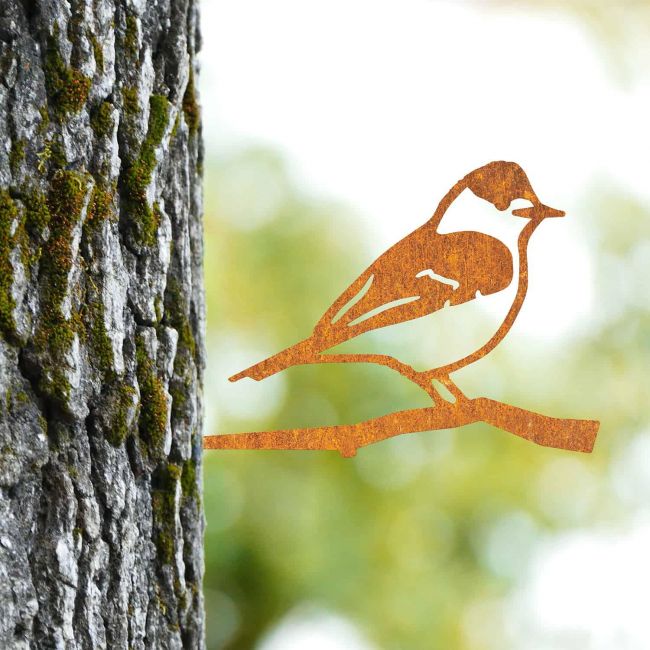 Sparrow Tree Spike on Situ on a Tree Sparrow Tree Spike on Situ on a Tree