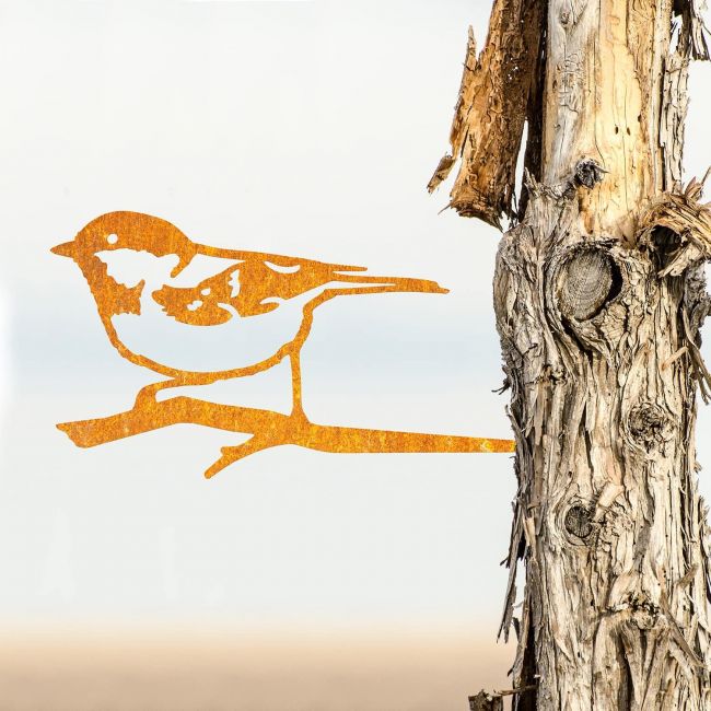 Sparrow Tree Spike on Situ on a Tree Sparrow Tree Spike on Situ on a Tree