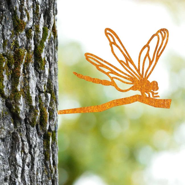 Sparrow Tree Spike on Situ on a Tree