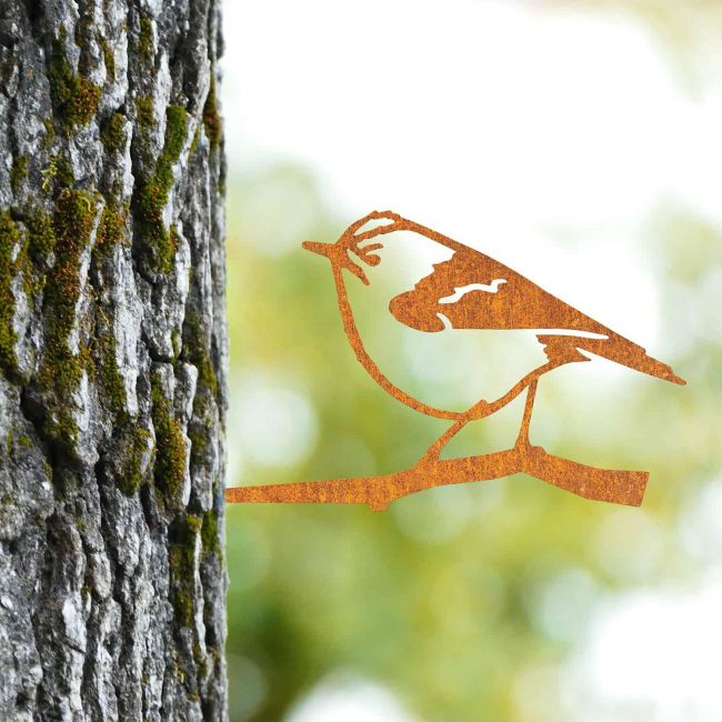 Sparrow Tree Spike on Situ on a Tree Sparrow Tree Spike on Situ on a Tree
