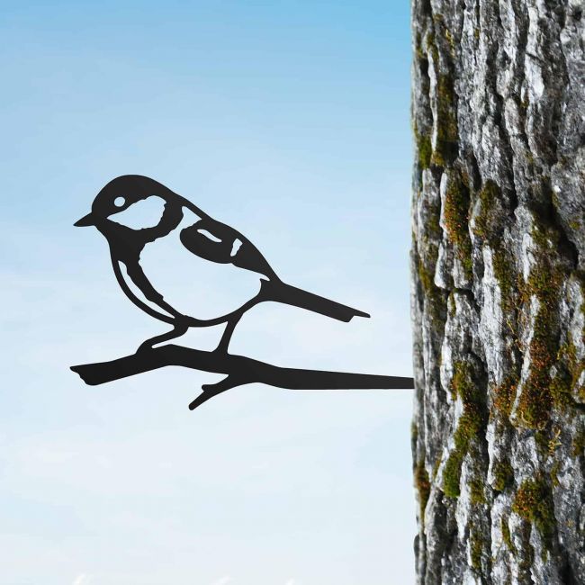 Sparrow Tree Spike on Situ on a Tree Sparrow Tree Spike on Situ on a Tree