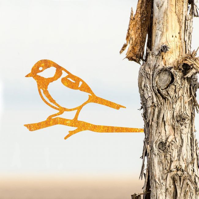 Sparrow Tree Spike on Situ on a Tree Sparrow Tree Spike on Situ on a Tree