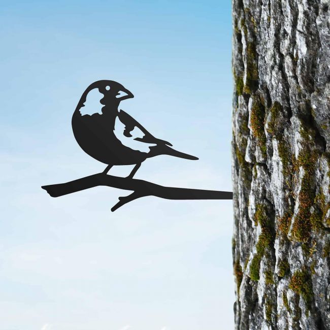 Sparrow Tree Spike on Situ on a Tree Sparrow Tree Spike on Situ on a Tree