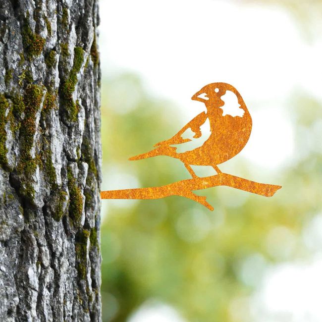 Sparrow Tree Spike on Situ on a Tree Sparrow Tree Spike on Situ on a Tree
