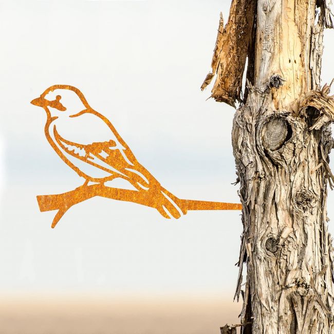 Sparrow Tree Spike on Situ on a Tree Sparrow Tree Spike on Situ on a Tree