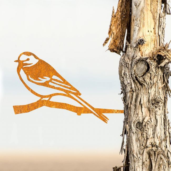 Sparrow Tree Spike on Situ on a Tree Sparrow Tree Spike on Situ on a Tree