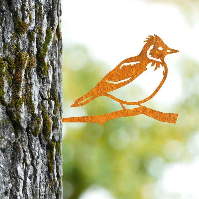 Sparrow Tree Spike on Situ on a Tree Sparrow Tree Spike on Situ on a Tree