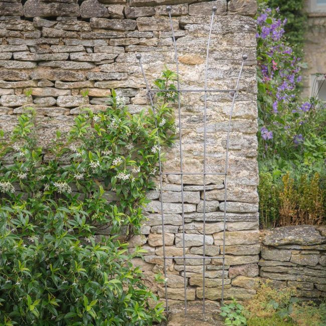 Steel Wall Mounted Plant Trellis in Situ Outside Steel Wall Mounted Plant Trellis in Situ Outside