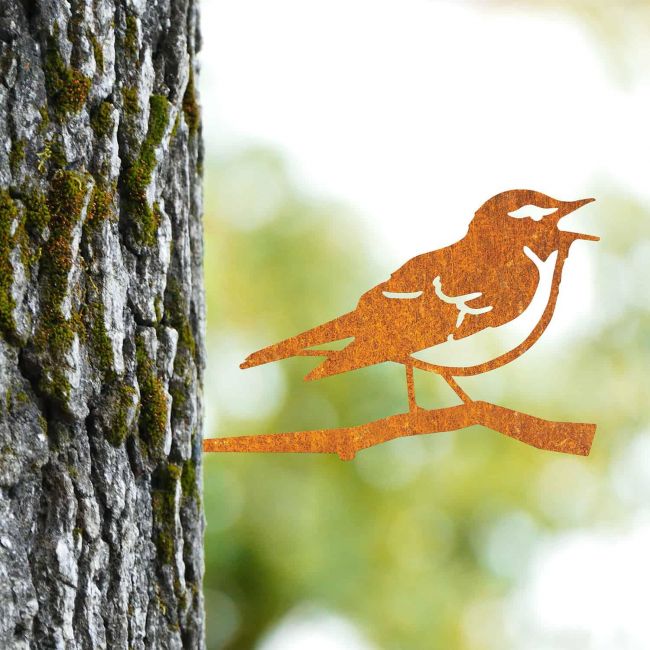 Sparrow Tree Spike on Situ on a Tree